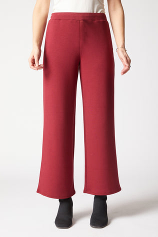 Passport Travel Pant