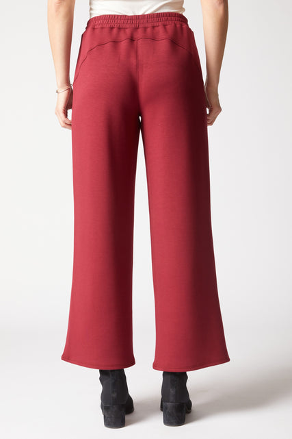 Passport Travel Pant