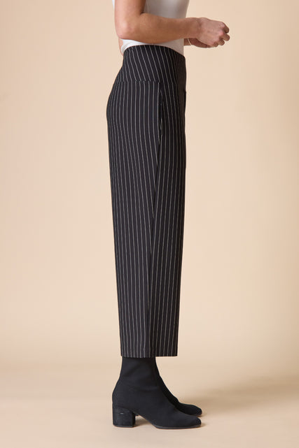 Core Travel Stripe Voyage Pant